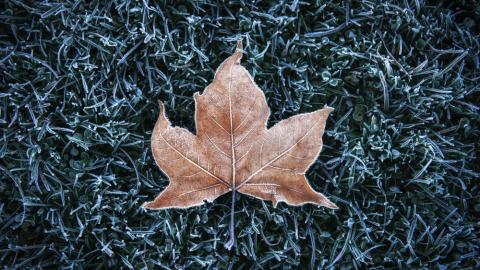 Temperatura media en España en noviembre: el mes en que empieza el frío (de verdad)