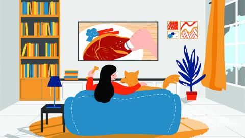 Calor de hogar: el bienestar de tu familia y tus mascotas con la calefacción